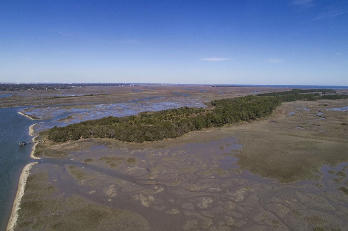 Long Island, between Folly and James islands, tapped for preservation ...